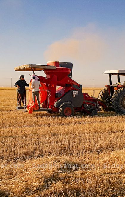 دستگاه کاه‌کوب سیار کیسه‌زن صادقی ST710