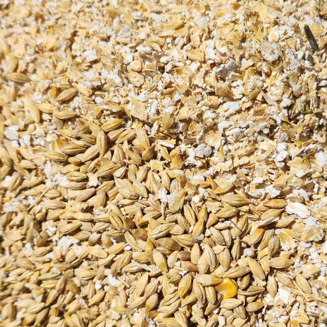 grain-flaking-machine-M313-sadeghisanat-9